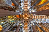 Voûte du plafond de la Sagrada Familia par Jürgen Wiesler Aperçu