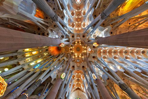 Plafondgewelf in de Sagrada Familia