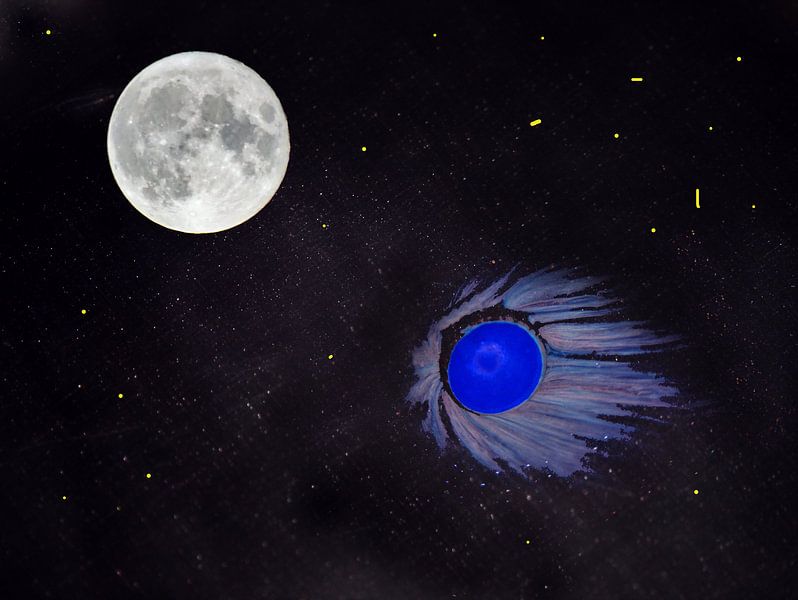 astéroïde en chocolat par Edgar Schermaul