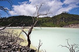 De zwavelachtige, maanachtige oevers van het Kawah Putih meer