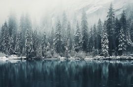 La magie de l'hiver au bord du lac