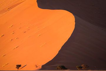 Een duin in Namibië. van Sven Broeckx
