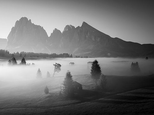 Alpe di Siusi B&W