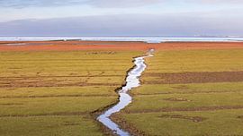 The mudflats near Uithuizen: a winding channel through a golden salt marsh landscape.