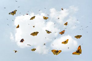 Ausfliegen - Die Welt wartet