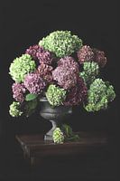 Hydrangea in green and vintage pink