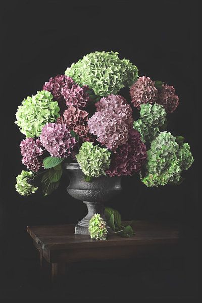 Hydrangea in green and vintage pink by Moody Food & Flower Shop