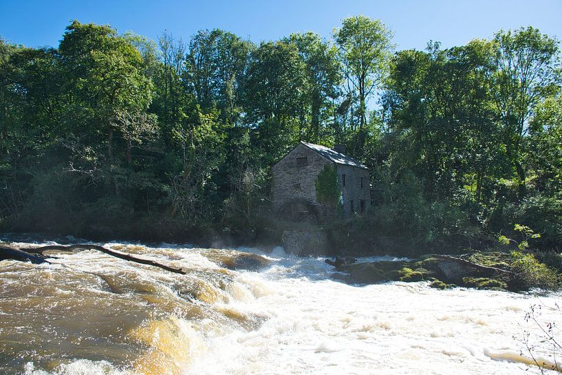 Cenarth Falls at the National Coracle Centre by Frank's Awesome Travels