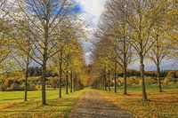 Allée automnale avec chapelle au Dauenberg près d'Eigeltingen dans le Hegau