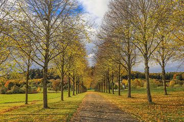 Herbstliche Allee mit Kapelle am Dauenberg bei Eigeltingen im Hegau von BlattArt - Christine Horn