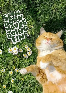 'Ralentis, tu es très bien comme ça, mon ami.