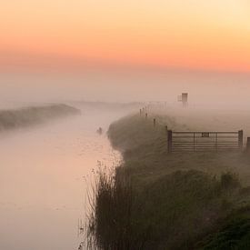 Foggy morning along the water by Michel Knikker