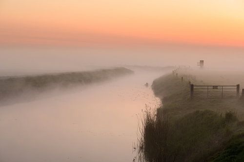 Foggy morning along the water