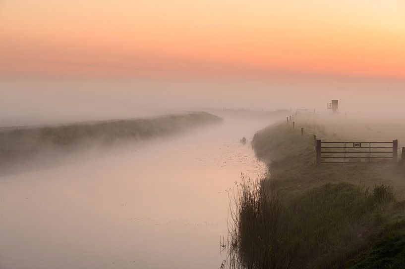 Mistige ochtend langs het water van Michel Knikker