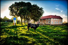 Sonnenaufgang von Bas Quaedvlieg