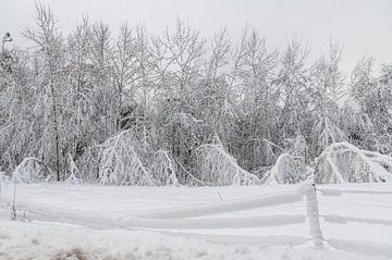 winter wonder land van Foto A de Jong