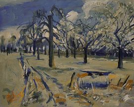 Lente in Gronsveld van Nop Briex