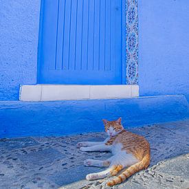 poes in chefchaouen