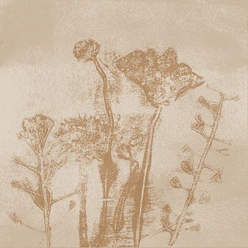 Wiesenblumen. Wabi-Sabi-Botanikkunst in Sand, Weiß, Ocker von Dina Dankers