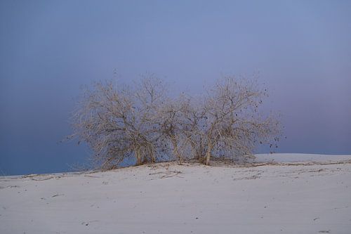 White Sands Dunes National Monument in New Mexico USA