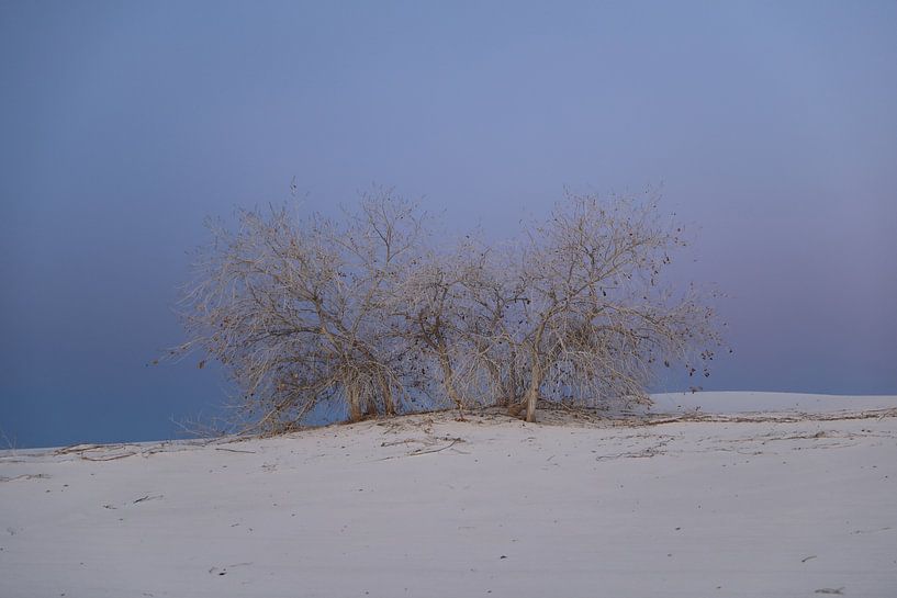 White Sands Dunes National Monument in New Mexico USA by Frank Fichtmüller