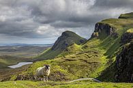 De Quiraing op het eiland Skye van Schotland van Rob IJsselstein thumbnail