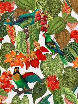 Des perroquets multicolores dans la jungle des fleurs sur Floral Abstractions