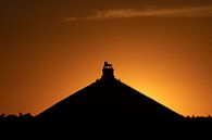 zonsondergang bij de Leeuw van Waterloo van Jim De Sitter thumbnail