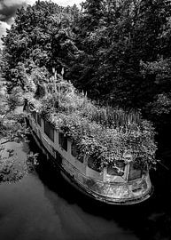 Pflanzen-Schiff | Zugewachsenes Schiff im Main von Flatfield