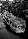 Plantschip | Overgroeid schip in de Main van Flatfield thumbnail