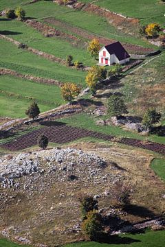 Mooi en gezellig wit eenzaam huis omringd door groene velden in de vroege herfst, Montenegro. Een sy van Michael Semenov