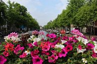 Bloemen in Amsterdam van Anouk Davidse thumbnail