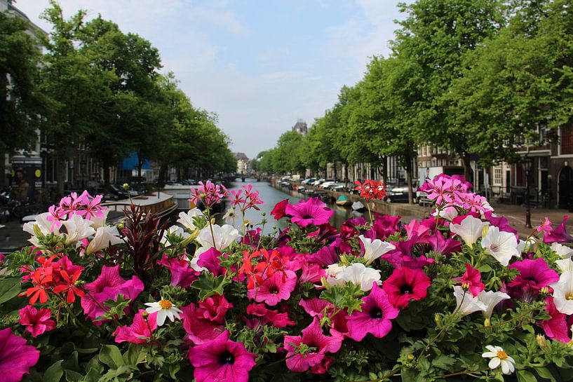 Bloemen in Amsterdam van Anouk Davidse