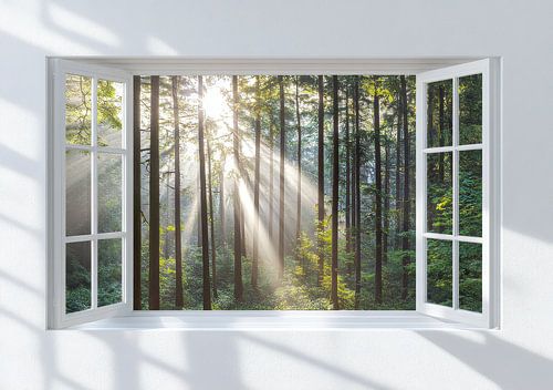 uitzicht op het bos vanuit de woonkamer