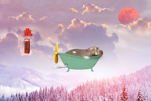 Sweet Dreams
