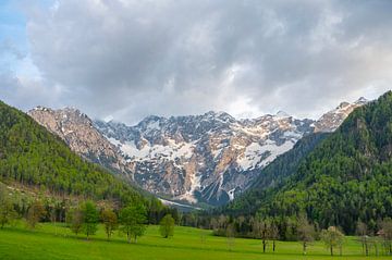 Vue du paysage de la vallée de Zgornje Jezersko au printemps sur Sjoerd van der Wal Photographie