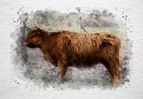 Schottischer Highlander - Aquarelleffekt