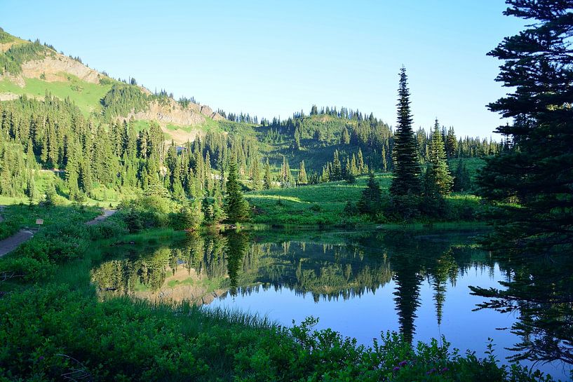 Reflections in Tipsoo Lake by Frank's Awesome Travels
