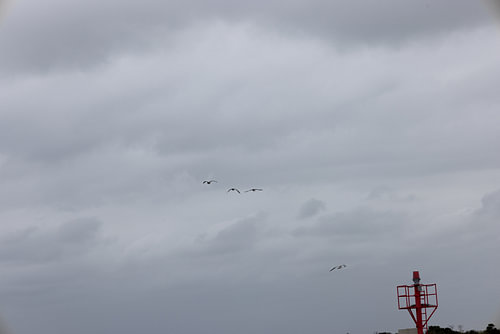 Pictures of Langeoog, an East Frisian island in the North Sea.