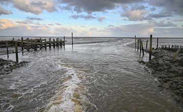 Slufter Texel de pompen staan aan. van Jose Lok