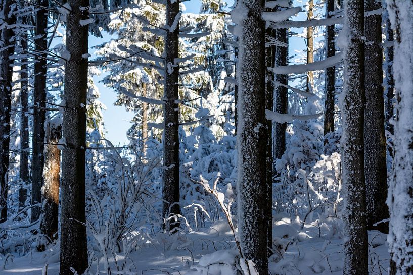 Winterse sneeuw van Johnny Flash