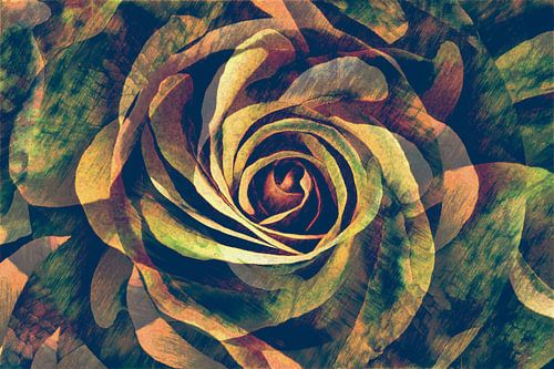 Dance of the rose petals