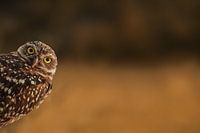 Hi there!