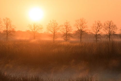 Sonnenaufgang mit Goldrand