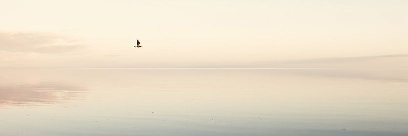 Kust Vlieland van Marlon Dias