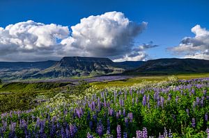 Iceland 2022 by Johan Bergsma