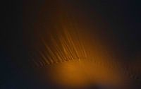 Dark Folds