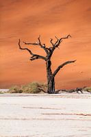 Deadvlei