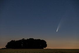 Komet Neowise von Ronny Rohloff