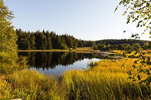 Petit lac sur Gottfried Carls